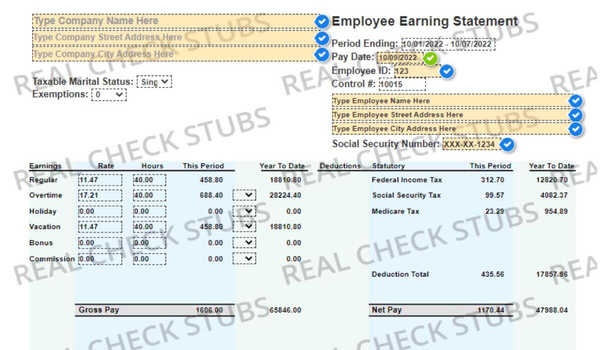 Designing A Professional Paycheck Stub